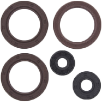 Engine Oil Seal Kit