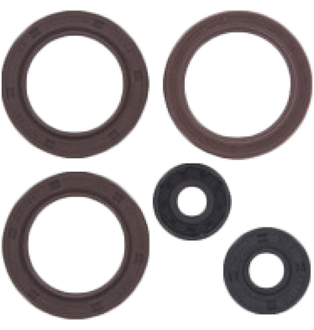 Engine Oil Seal Kit