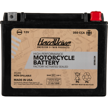 AGM Sealed Battery