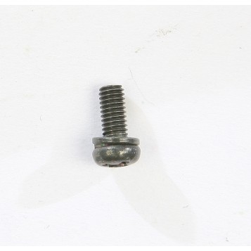 Screw W/Washer