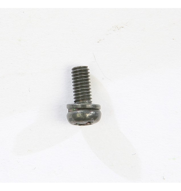 Screw W/Washer