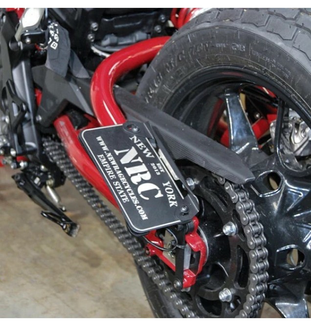 Indian FTR Fender Eliminator