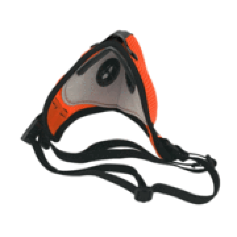 RZ M2.5 Mask RZ M2.5 Mask