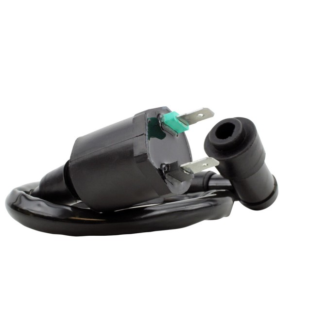 RM Stator Ignition Coils