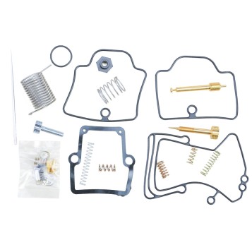 Carburetor Repair Kit
