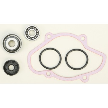 Water Pump Rebuild kit