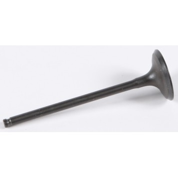 Intake Valve
