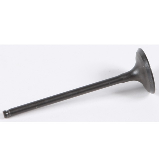 Intake Valve