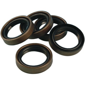 Twin Cam Motor Case O-Ring/Seal