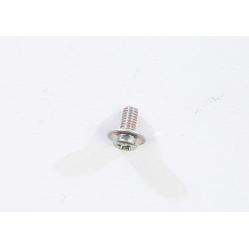 Screw