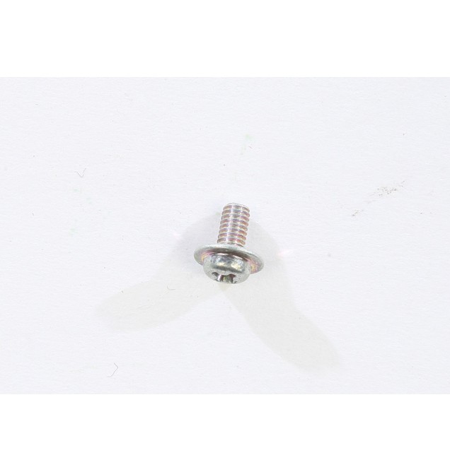 Screw