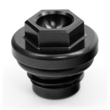 Oil Filler Plug