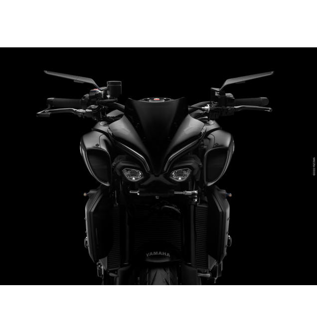 Stealth Naked Mirror