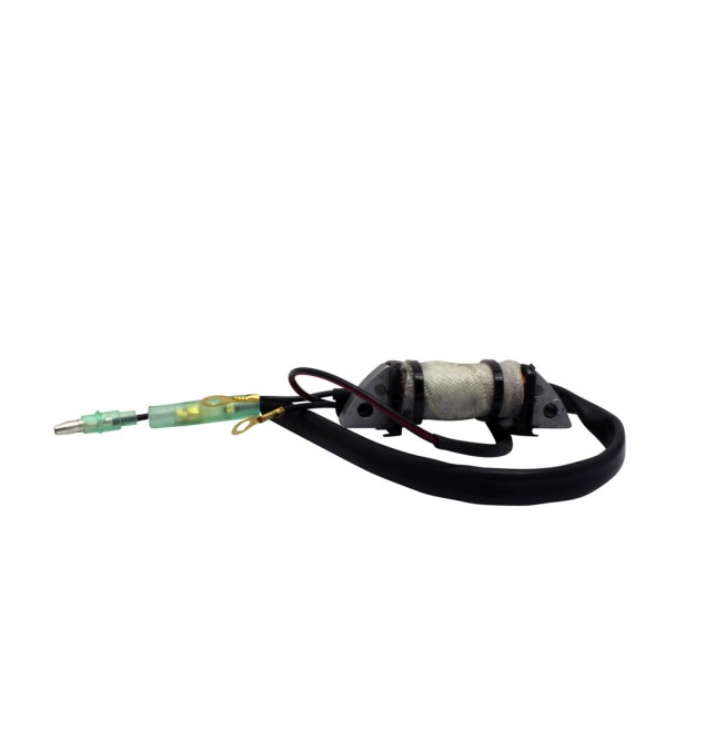 STATOR SOURCE COIL