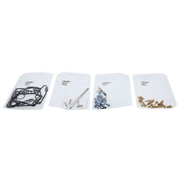 Carburetor Repair Kit