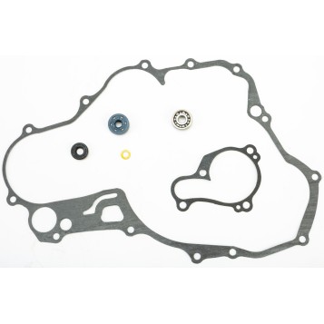 Water Pump Repair Kit