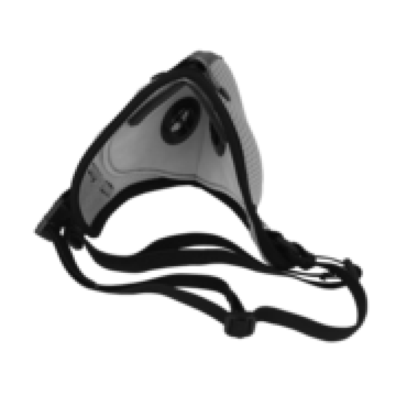 RZ M2.5 Mask RZ M2.5 Mask