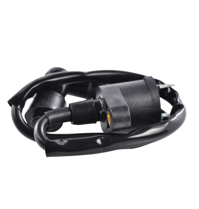 RM Stator Ignition Coils