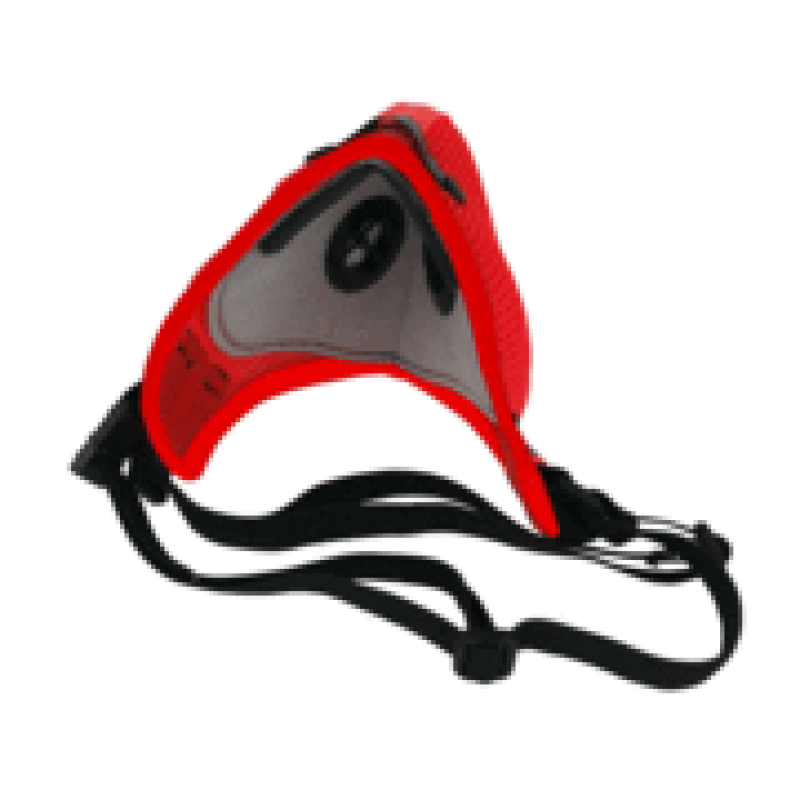 RZ M2.5 Mask RZ M2.5 Mask