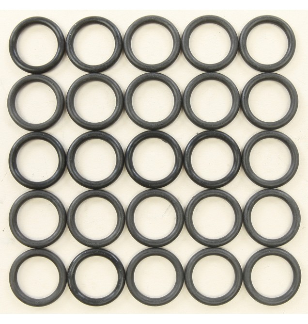 Evo O-Ring