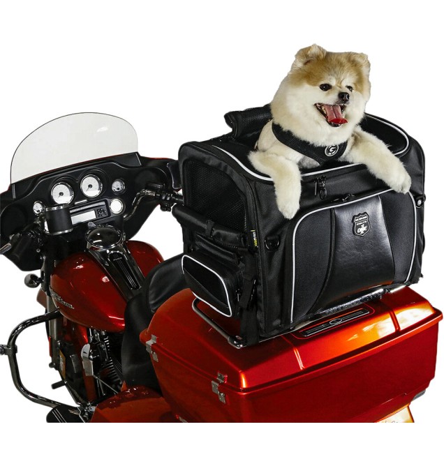 Route 1 Rover Pet Carrier