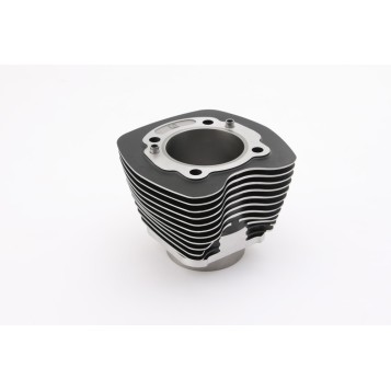 Twin Cam Cylinders