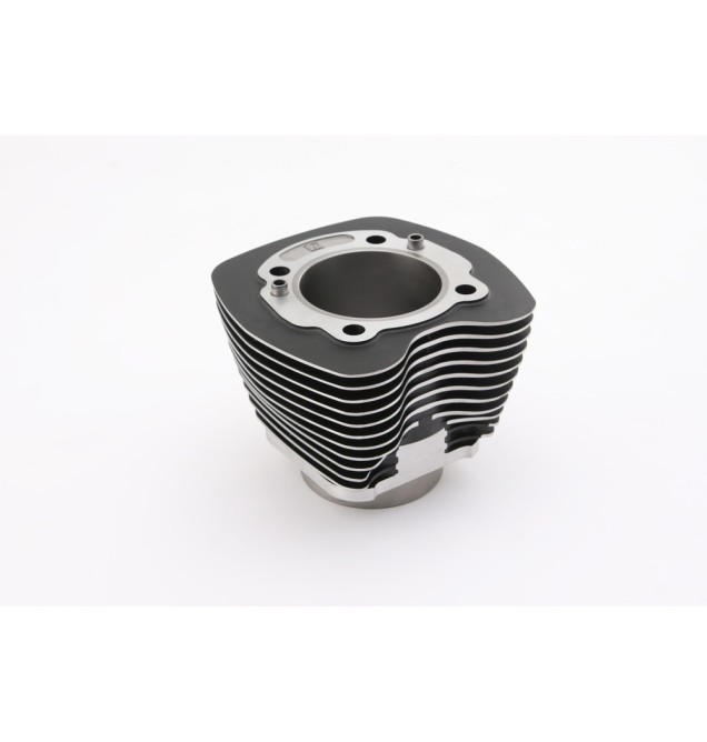 Twin Cam Cylinders