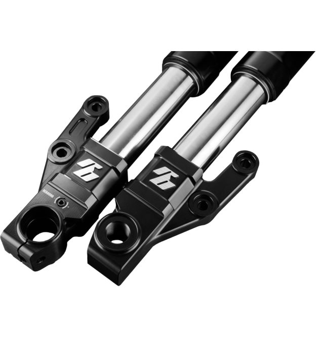 Bishop 43 MM Inverted Forks