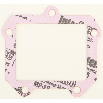 Rad Valve Gasket