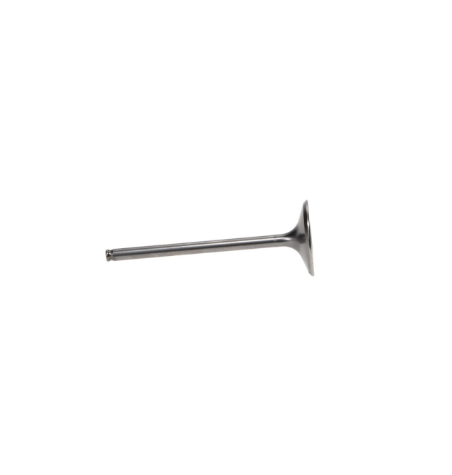 Intake Valve