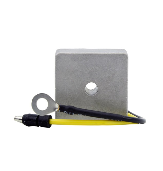 AC VOLTAGE REGULATOR HEAVY DUTY UNIVERSAL