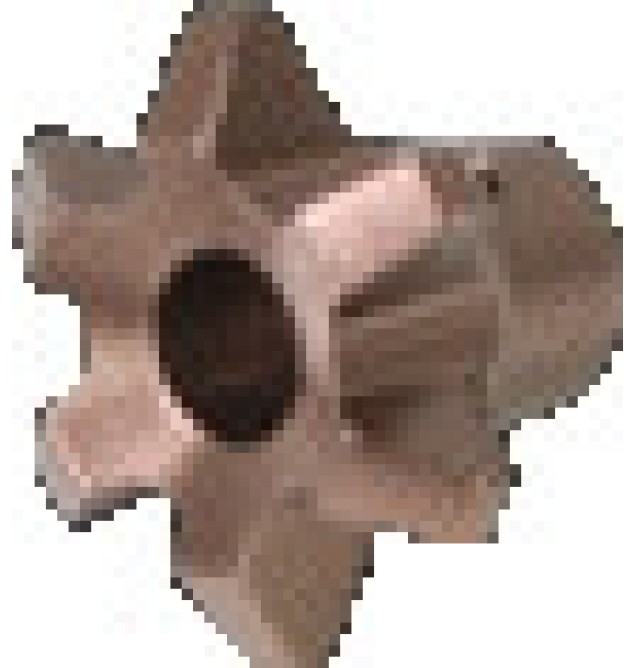 Flight Clutch Ajuster Knob