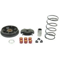 Primary Speed Variator