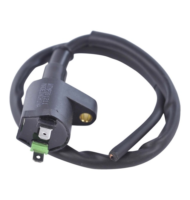 External Ignition Coils