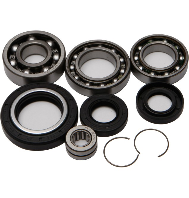 Differential Bearing & Seal Kit