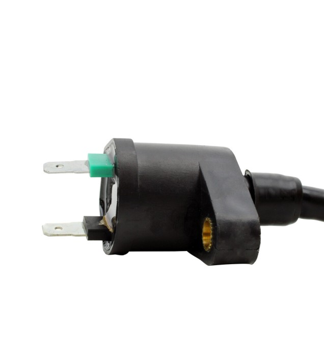 External Ignition Coils