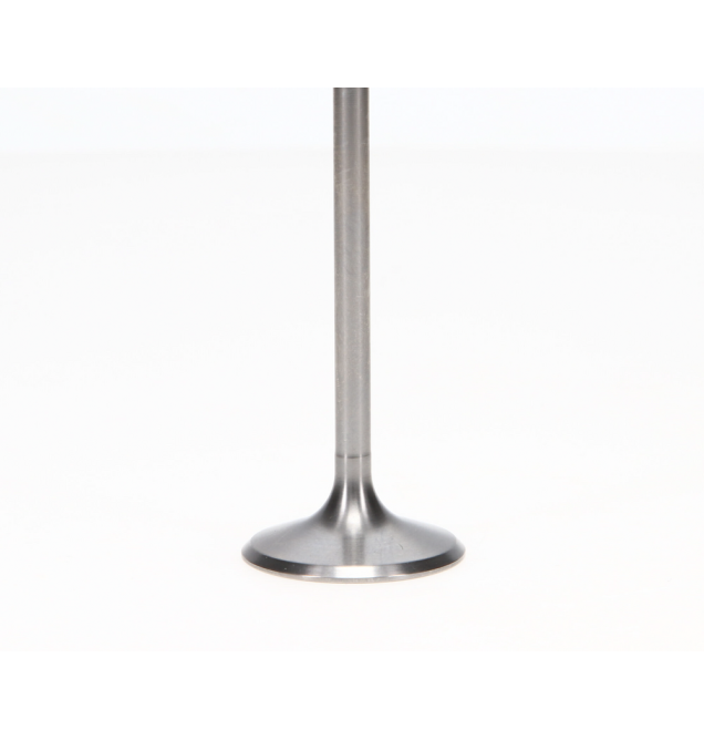 Intake Valve