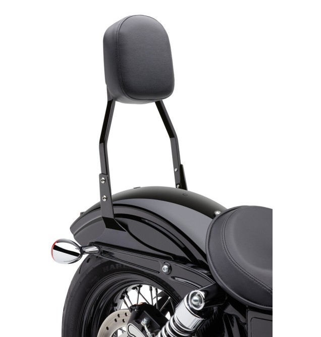 Standard Sissy Bar