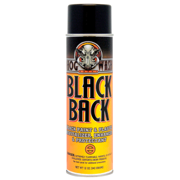 Black Back Paint