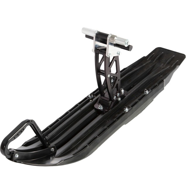 Ski Assembly