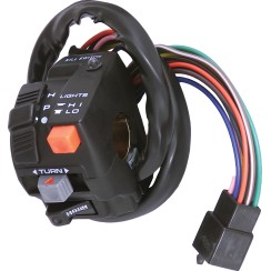 Dual Sport Multi-Switch