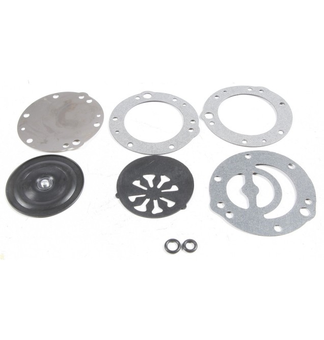 Diaphragm & Gasket Set