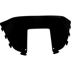 Windshield