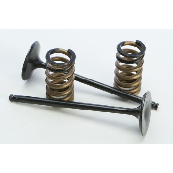 Steel Intake Spring Kit