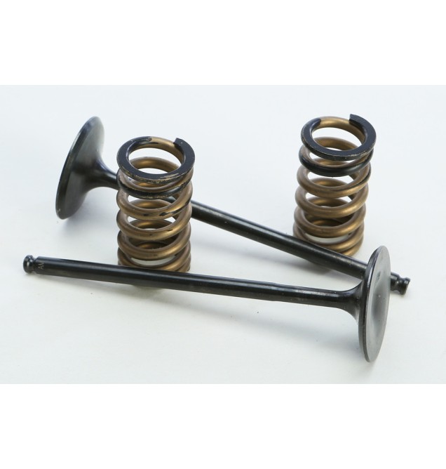 Steel Intake Spring Kit