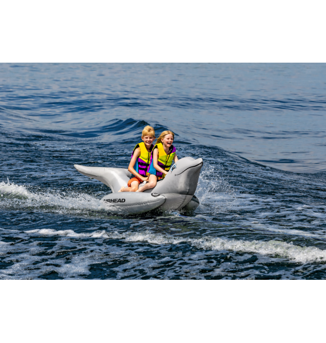 Dolphin Towable Tube