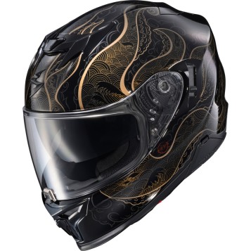2026 EXO-T520 Helmet