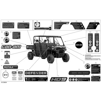 07- Body - Decals