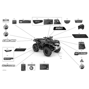 07- Body - Decals - XT