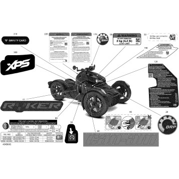 07- Body - Decals